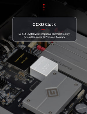 Gustard R30 R2R 27BIT DAC