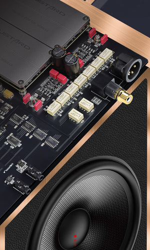 Gustard R30 R2R 27BIT DAC