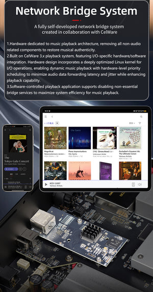 Gustard R30 R2R 27BIT DAC