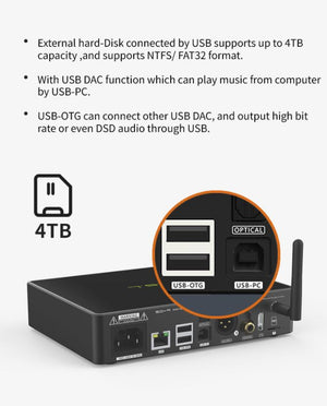 SMSL SD-9 Music Streamer