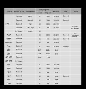 SMSL SD-9 Music Streamer